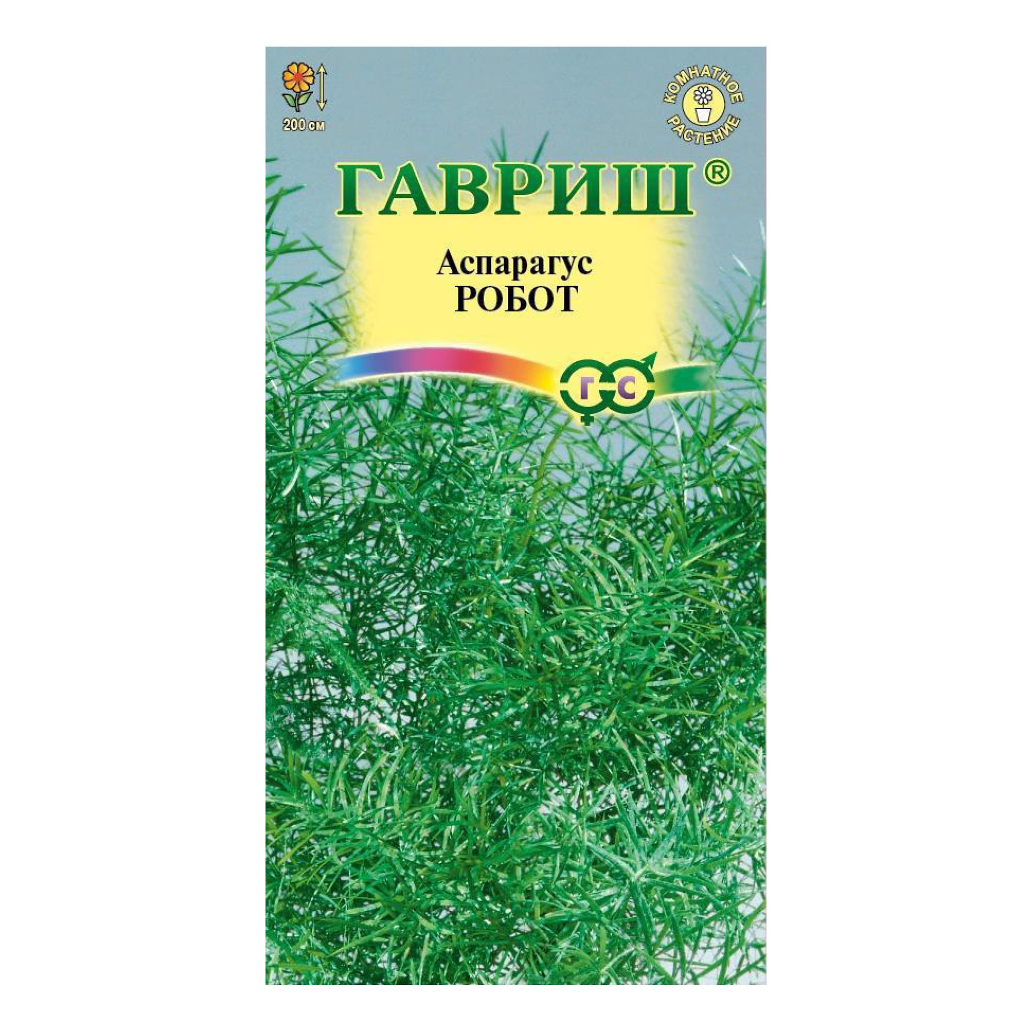 Аспарагус робот. Аспарагус шпренгера цветение. Аспарагус пирамидальный. Аспарагус паутинка (перистый). Аспарагус абу-даби.