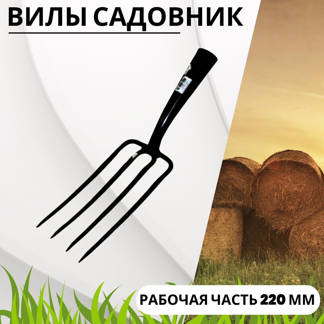 Вилы арти. Вилы арти