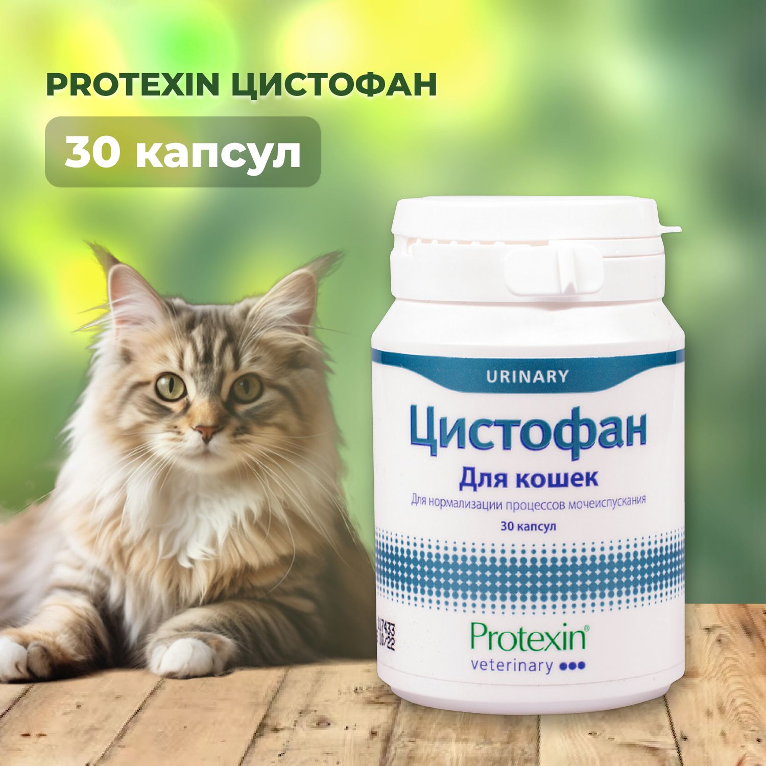 Цистофан, 30 капсул - купить с доставкой по выгодным ценам в  интернет-магазине OZON (838056211)