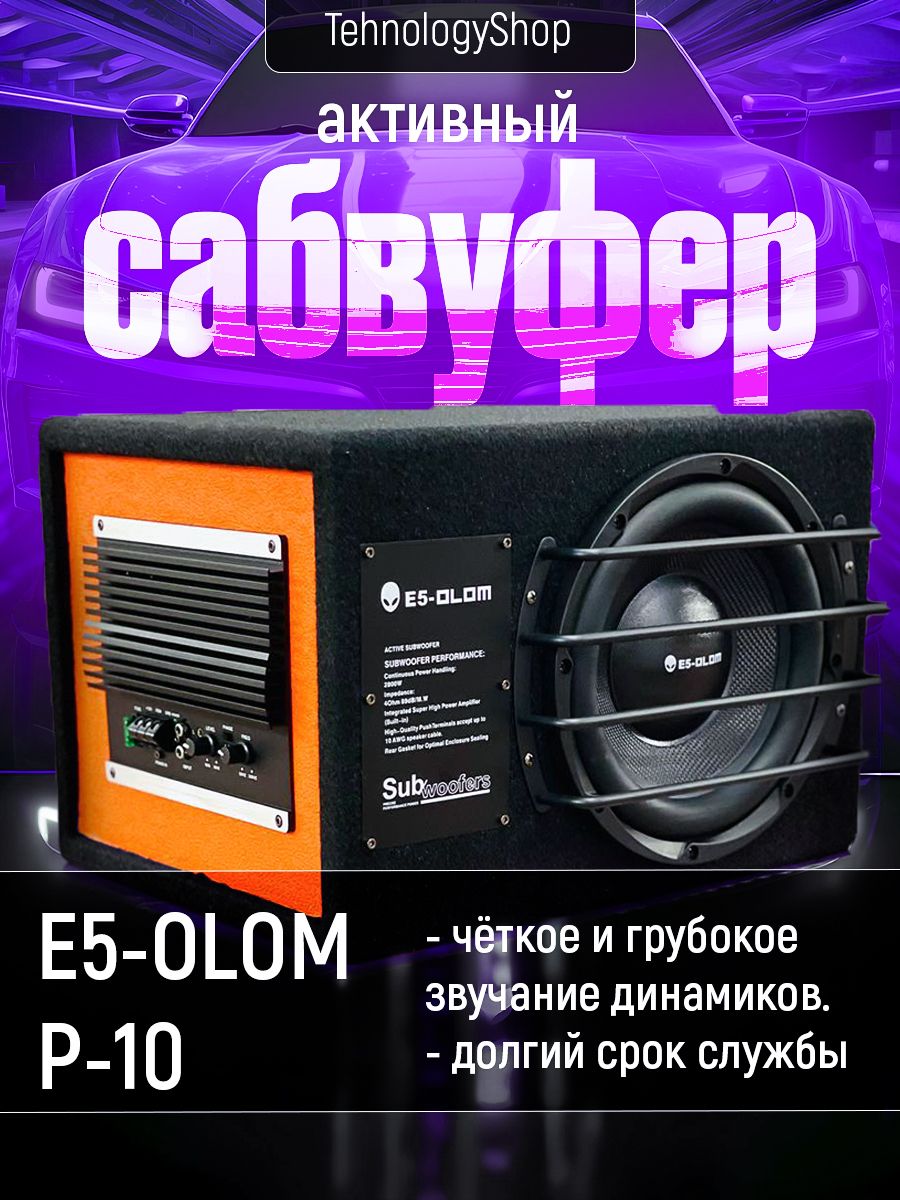 Активный сабвуфер E5 OLOM P10 10 дюймов 2800 W