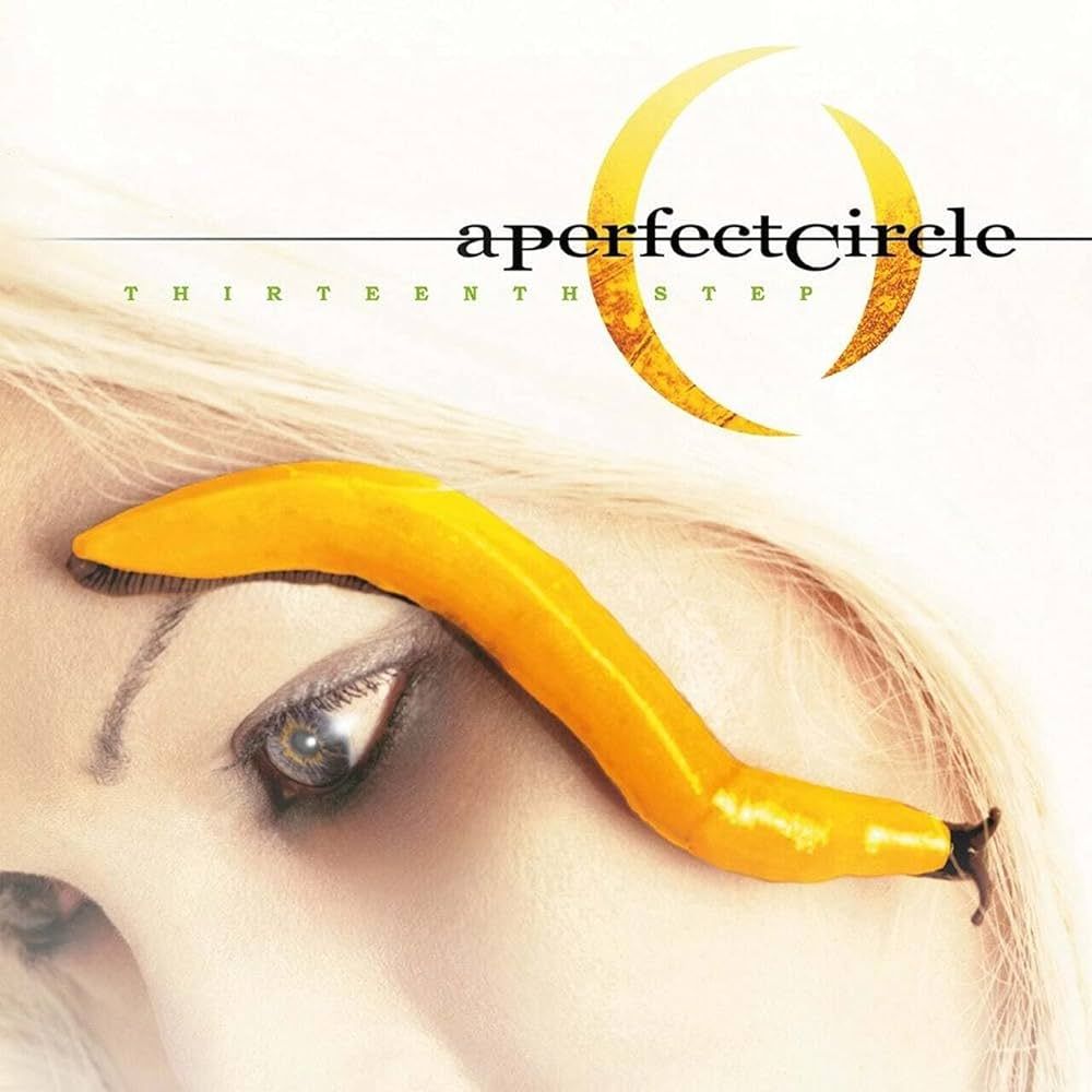 A PERFECT CIRCLE - THIRTEENTH STEP (2LP) виниловая пластинка