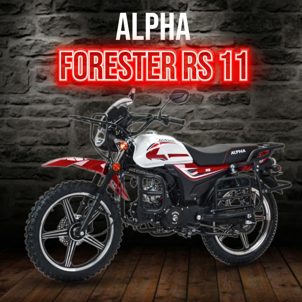 Forester rs 11 lm48 b. Forester rs 11 lm48 b
