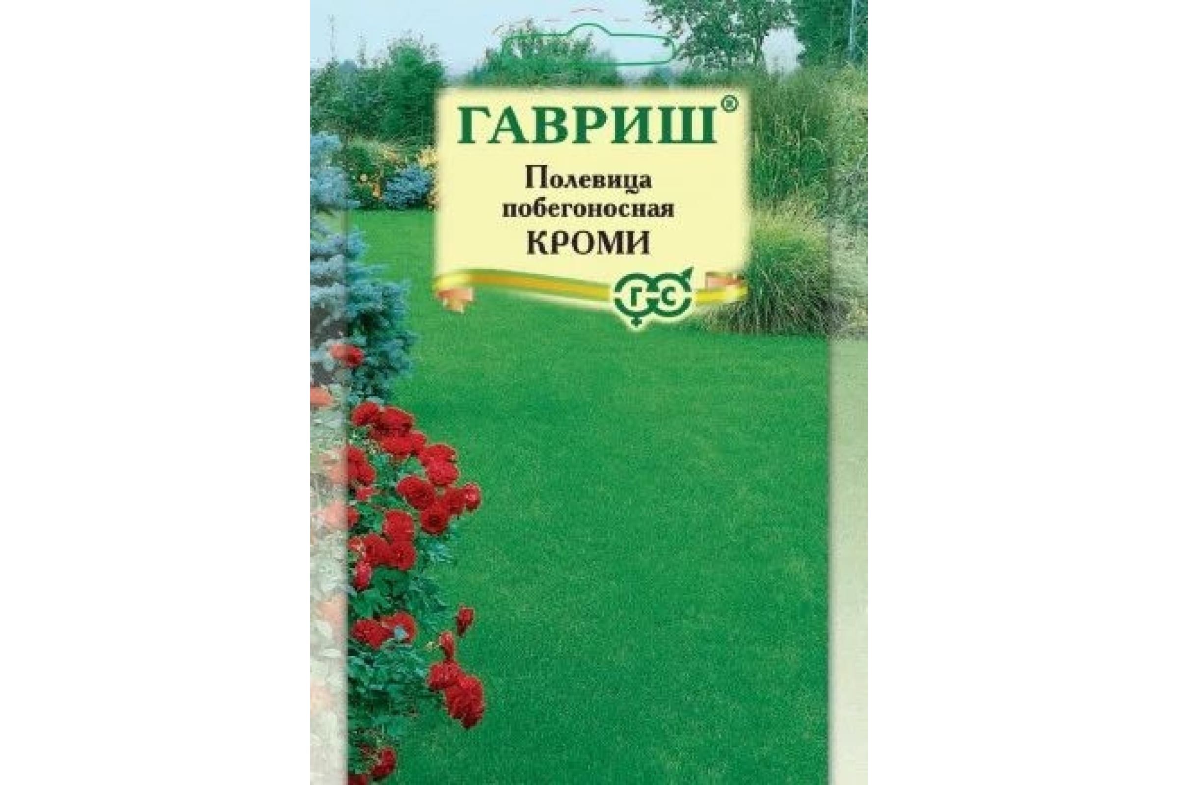 Полевица побегоносная для газона фото и описание