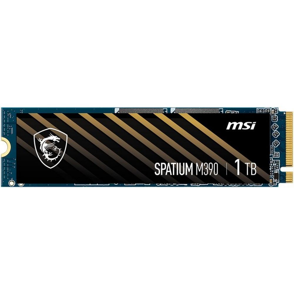 Ssd m 2 spatium m390