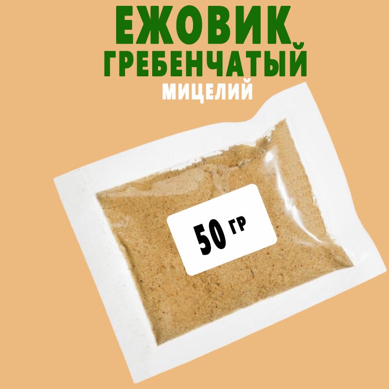 Ежовикгребенчатыймицелий.Выращенназерне50гр.