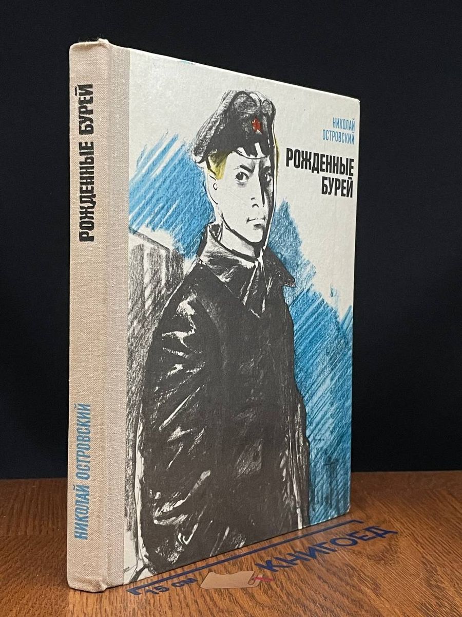 Бури рожденная. Бурей рождения. Рождённые бурей книга. Бурей рождения. Бурей рождения.
