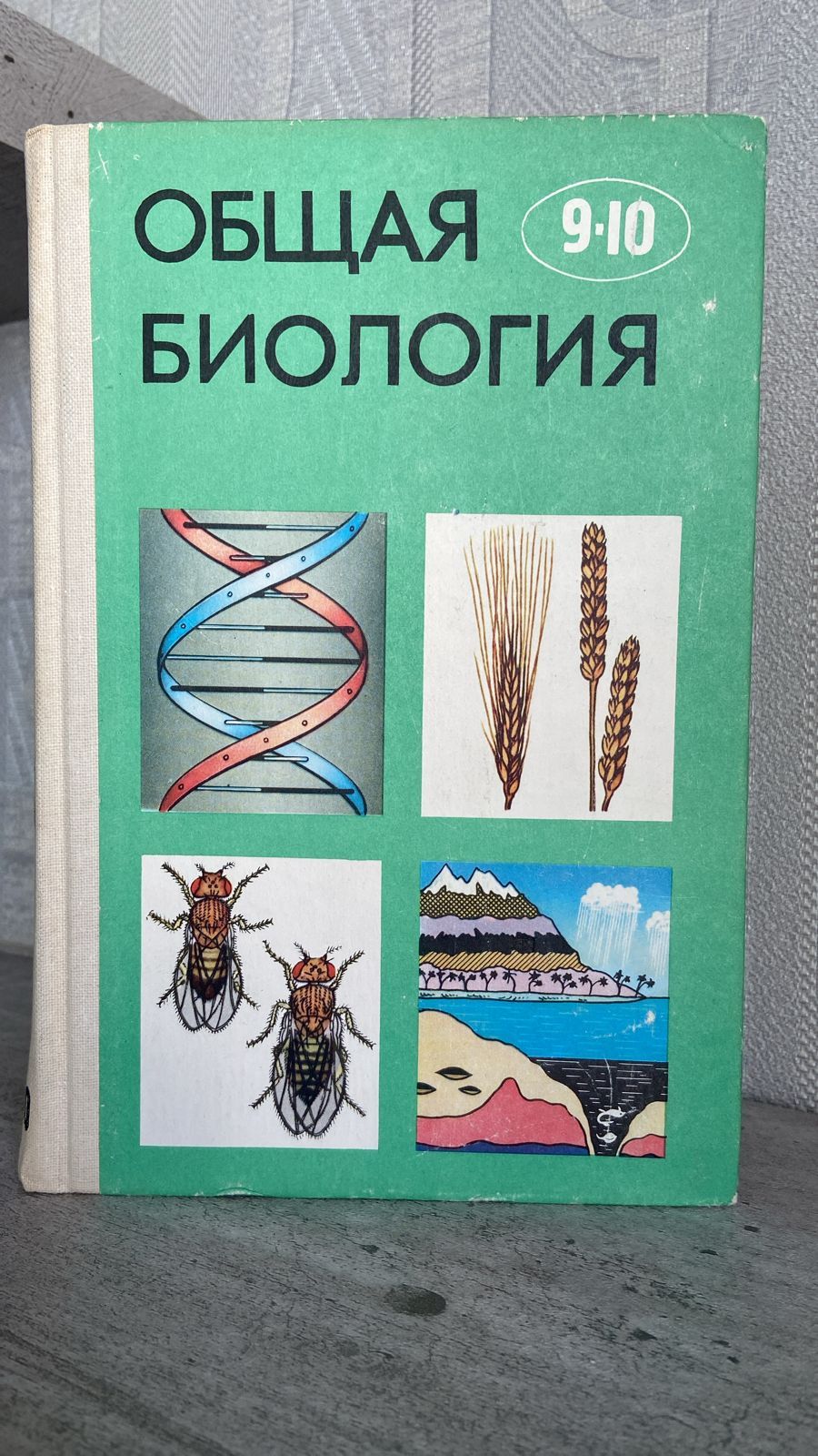 Купить Учебник Биологии 8 Класс Авито