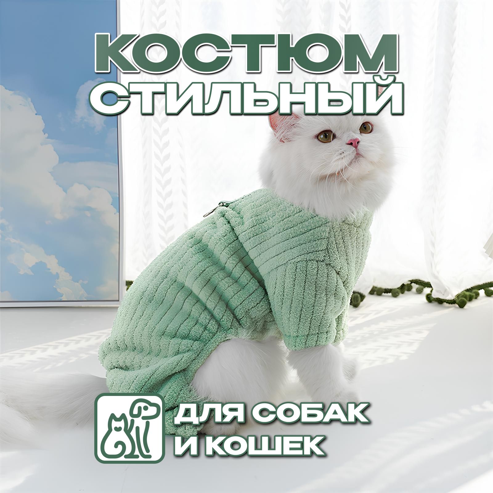 Костюм толстовка для собак и кошек стильный