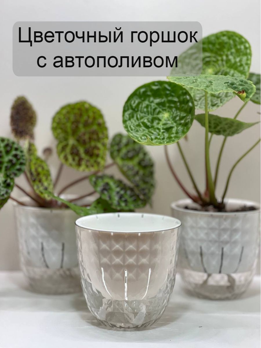 Кашпо с автополивом, 11 см х 11 см, 0.5 л, 1 шт