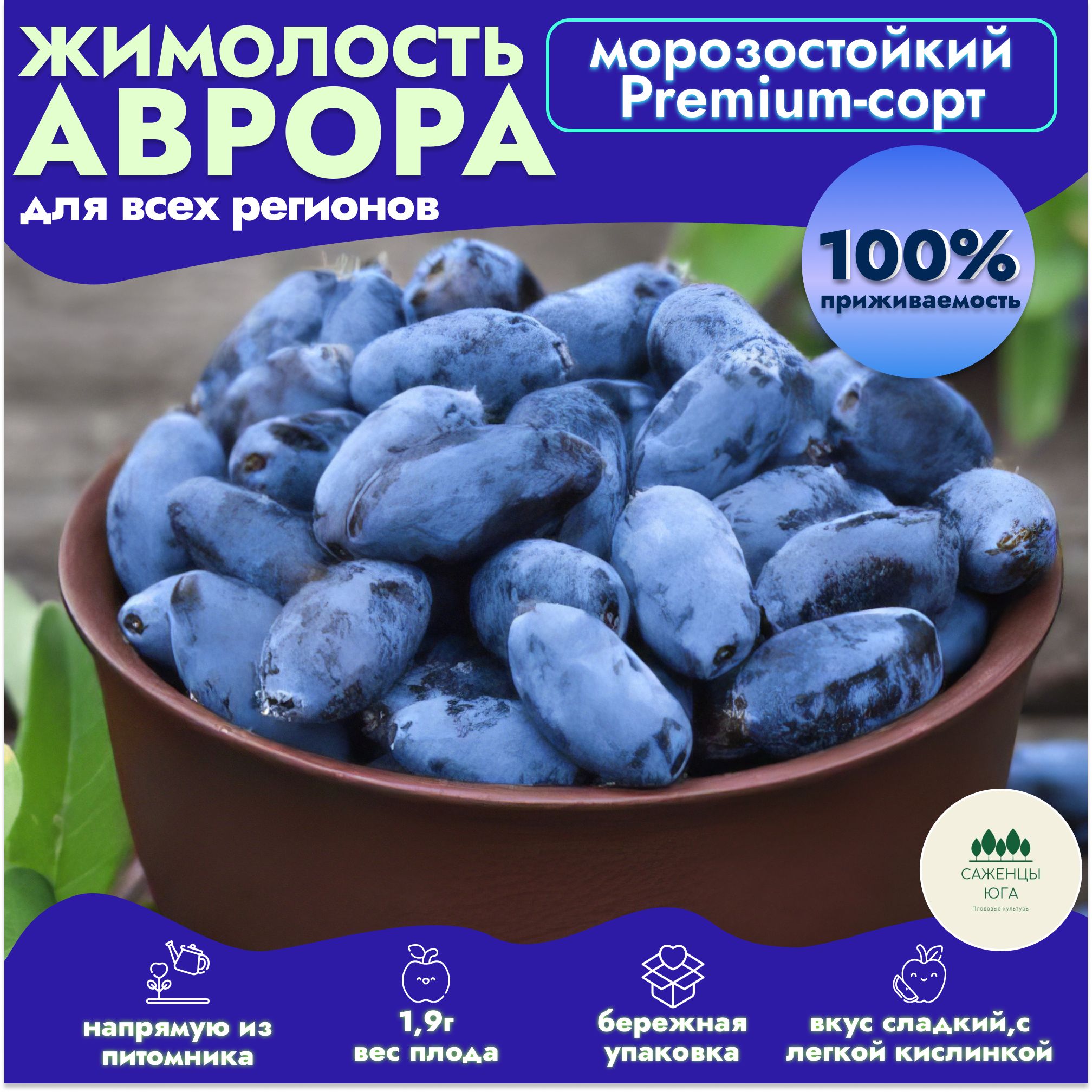 Жимолость...