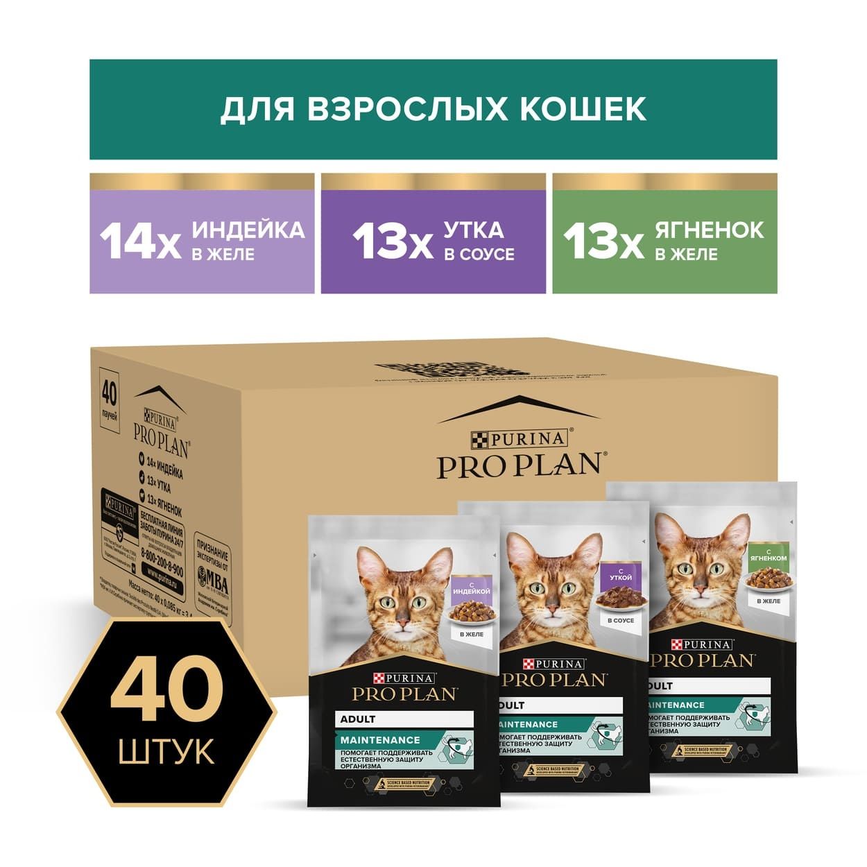 PurinaProPlanВлажныйкормдлявзрослыхкошек,синдейкойвжеле,суткойвсоусе,сягненкомвжеле,MAINTENANCE,40шт.х85гр.