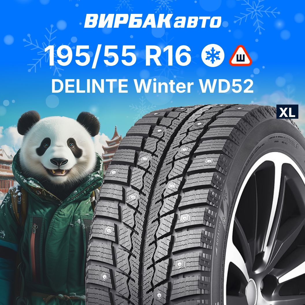 Delinte Dh2 205 55 R16 Купить