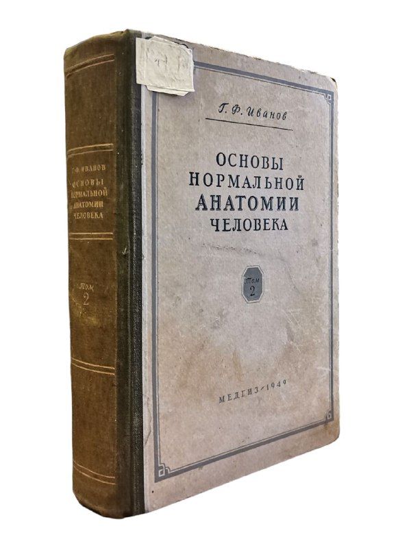 Основы нормальной анатомии человека. Том 2 | Иванов Г.