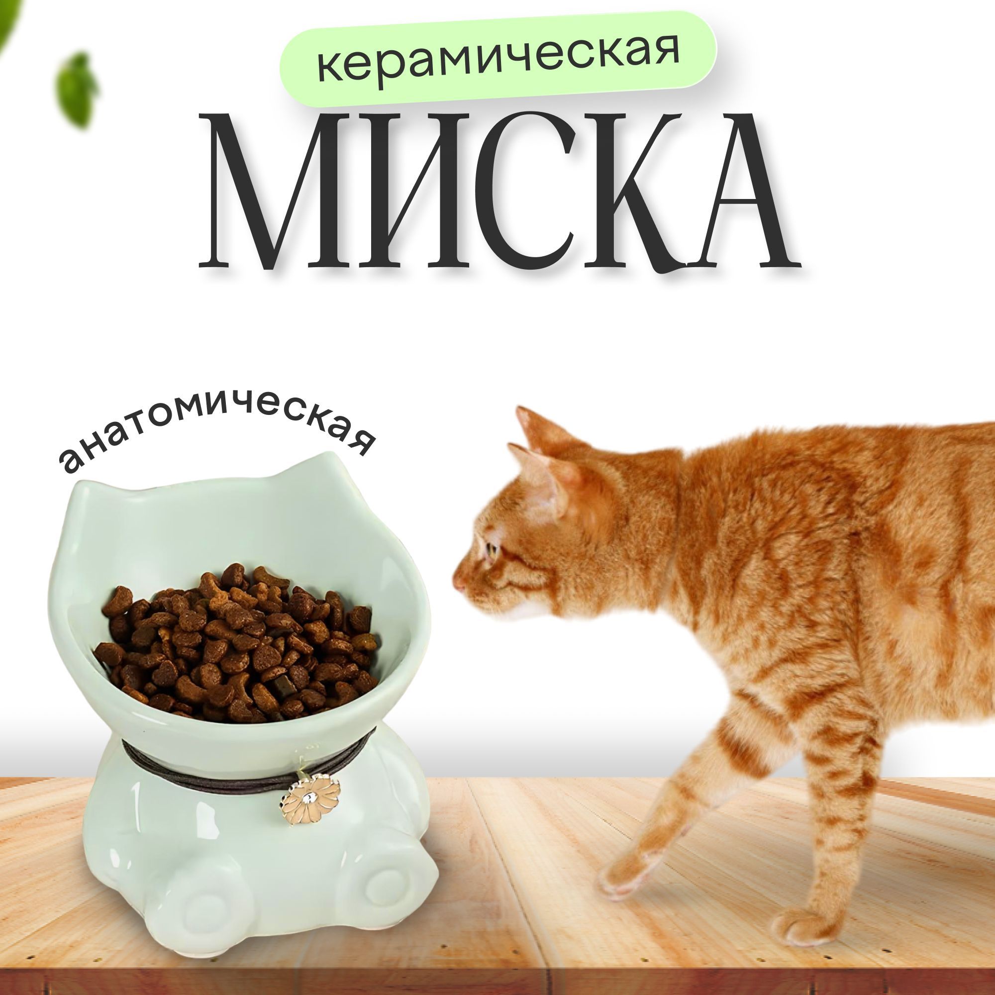 Мискадлякошекисобаккерамическаявысокаясушками