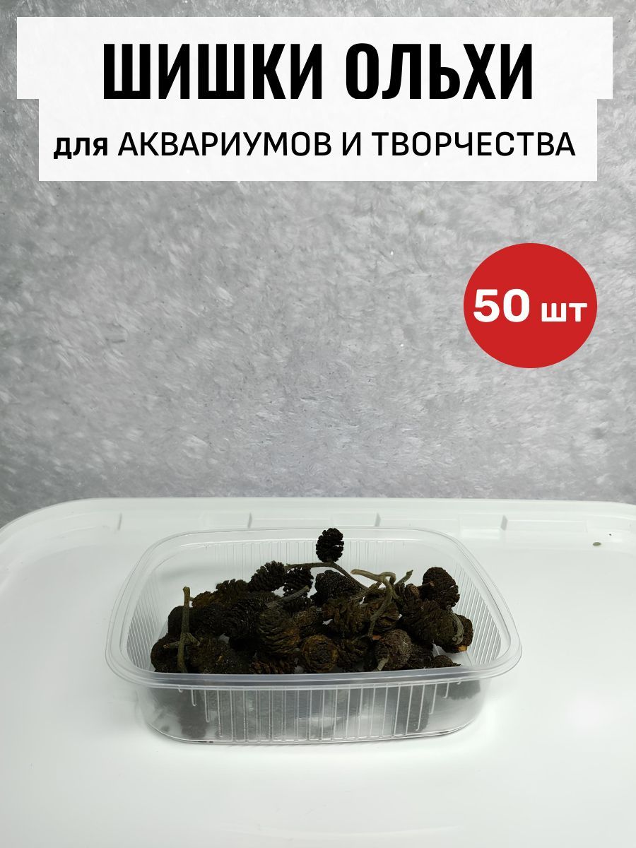 Шишки ольховые для аквариума и декора, 50 штук