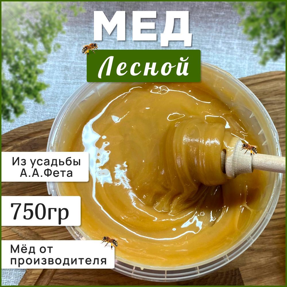 Мед лесной 750 грамм( густой)