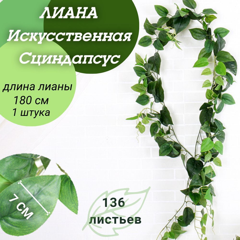 Лиана искусственная для декора.Лиана Сциндапсус