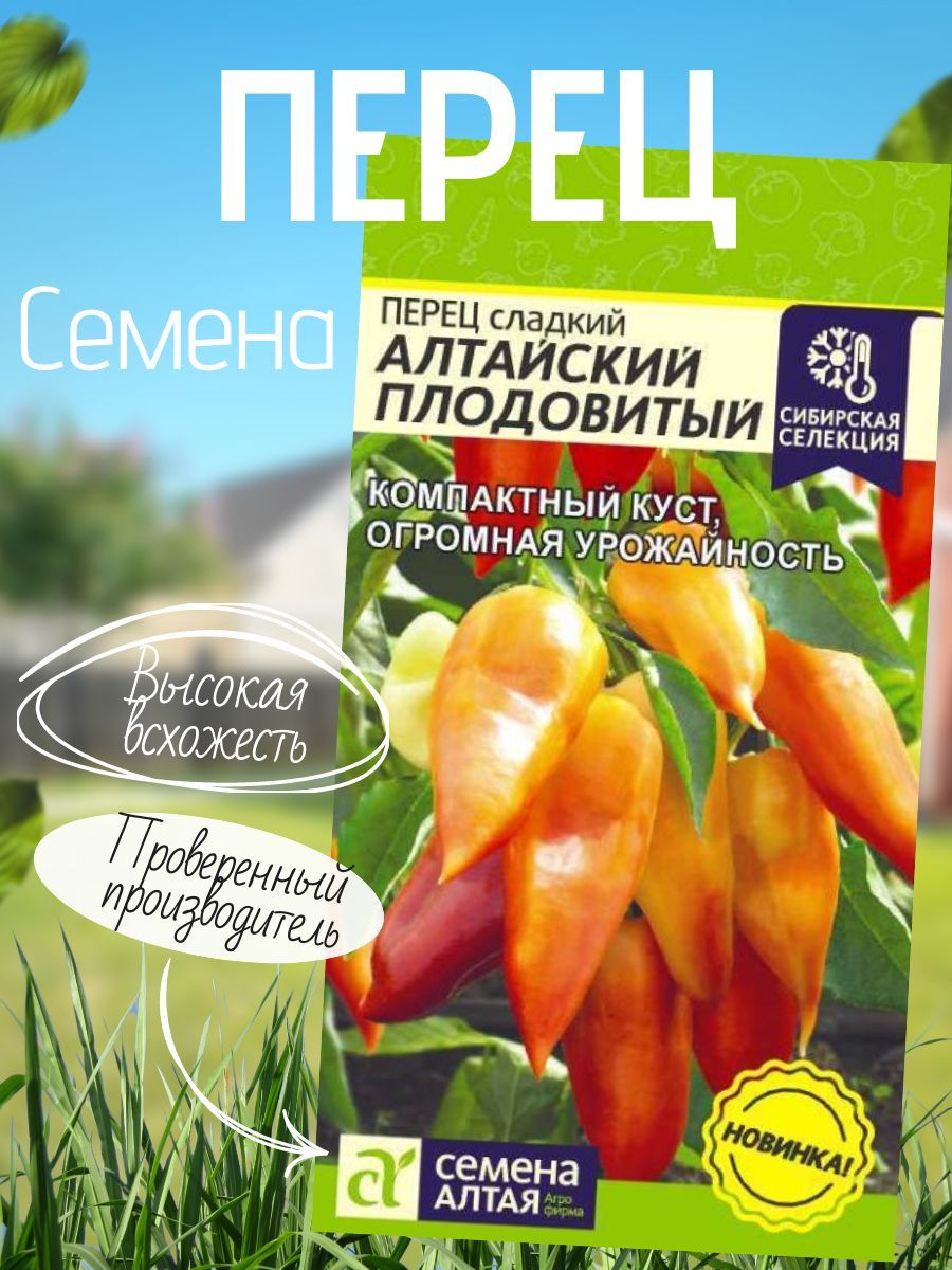 Перец алтайский плодовитый описание характеристика. Перец сладкий вождь краснокожих. Перец алтайский плодовитый описание характеристика. Перец карась. Перец алтайский плодовитый описание характеристика.