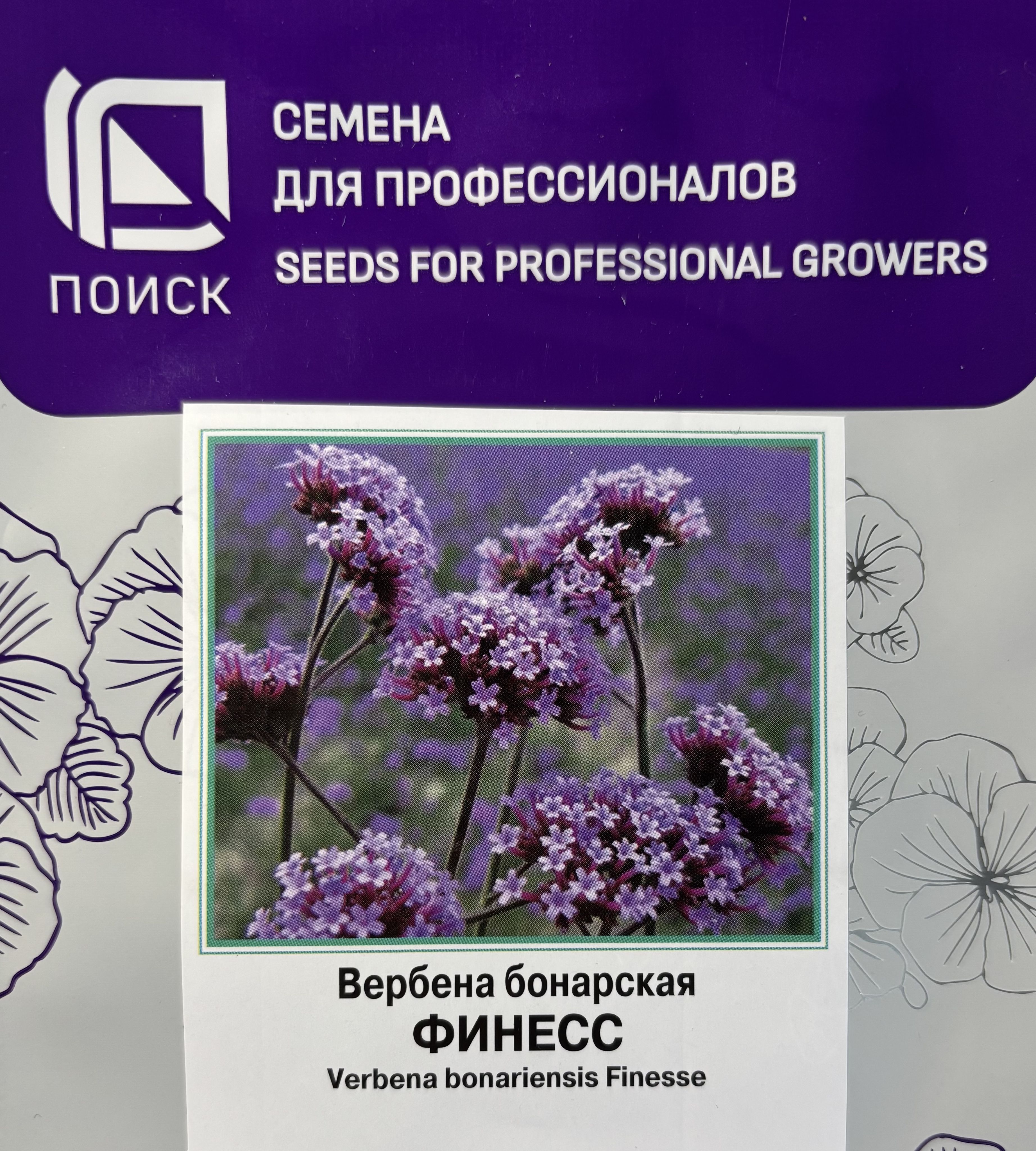 Купить Семена Вербены Бонарской В Интернет Магазине