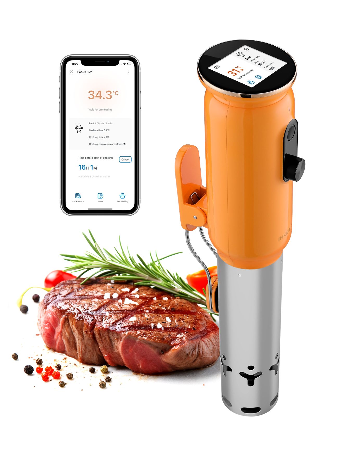 СувидпогружнойINKBIRDISV-101WY