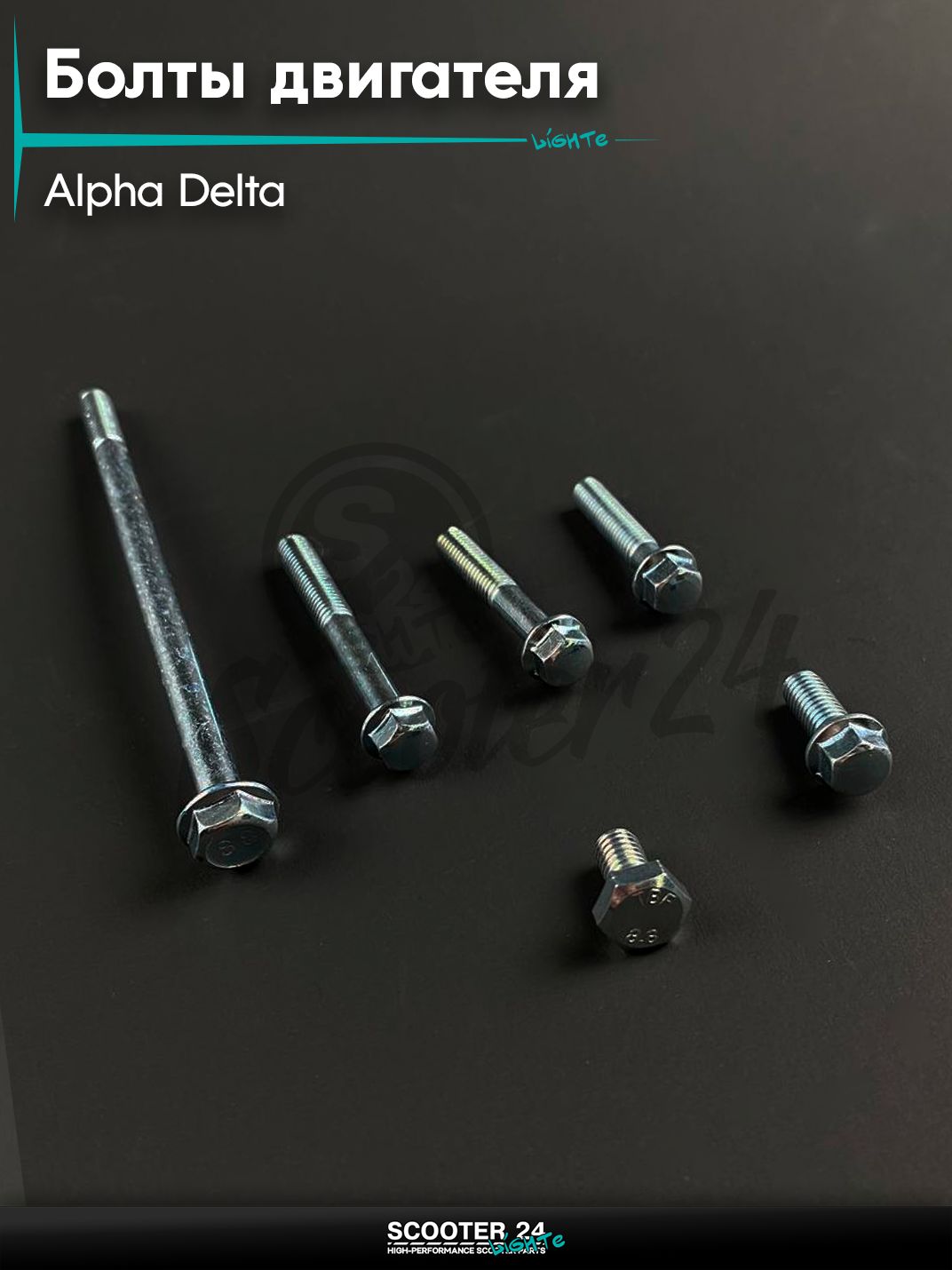 Болты двигателя комплект на мопед и мотоцикл ALPHA, DELTA / Альфа, Дельта