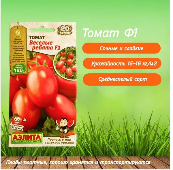 Томаты Агрофирма Аэлита Баклажан "Маугли" Аэлита для открытого грунта и ...