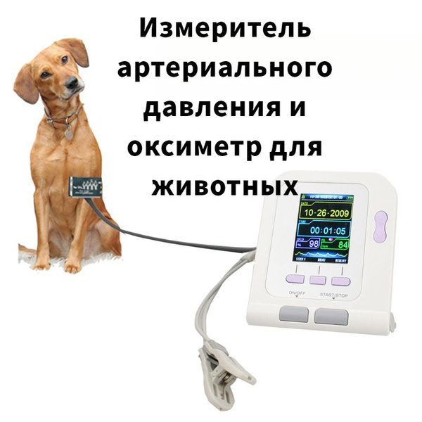 Ветеринарный тонометр - купить с доставкой по выгодным ценам в интернет ...