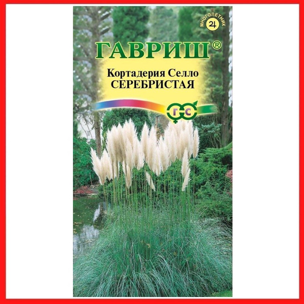 Семена Кортадерия Серебристая "Пампасная трава", 8 шт - купить в интернет-магази
