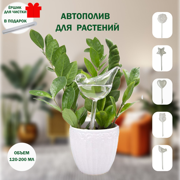 Автополив для растений - купить с доставкой по выгодным ценам в ...