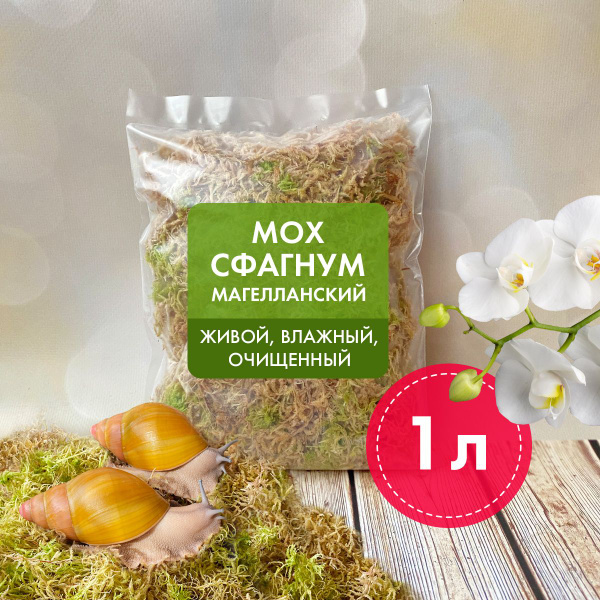 Мох сфагнум магелланский, 1 литр. Для улиток, рептилий, орхидей и ...
