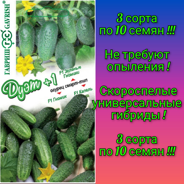 Огурцы Шара-пульки Огуречики - купить по выгодным ценам в интернет ...