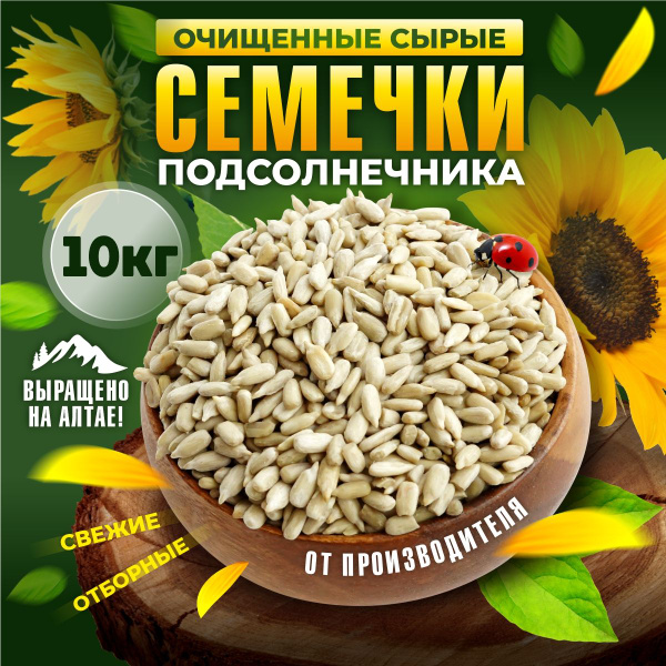 Семечки подсолнечника. Семечка с Алтая очищенная, сырая. Ядро ...