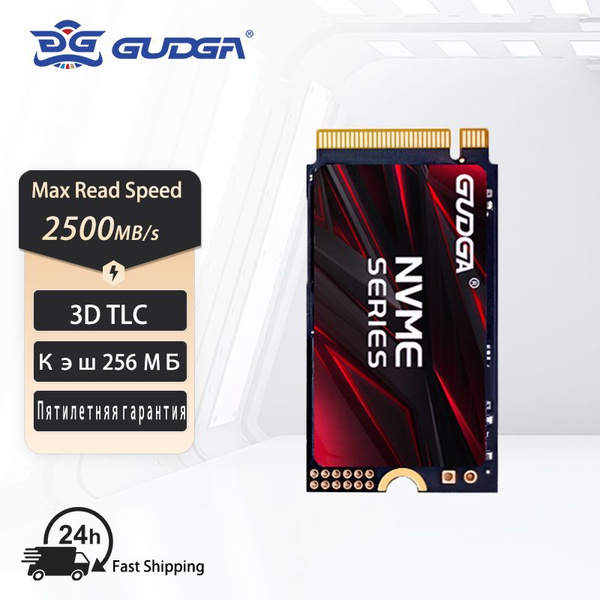 256 ГБ Внутренний SSD-диск GUDGA M.2 PCIe NVMe 3.0 2242 (PC210-256 ...