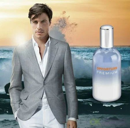 Amway OPPORTUNE Premium для мужчин Вода парфюмерная 50 мл (1480903037)
