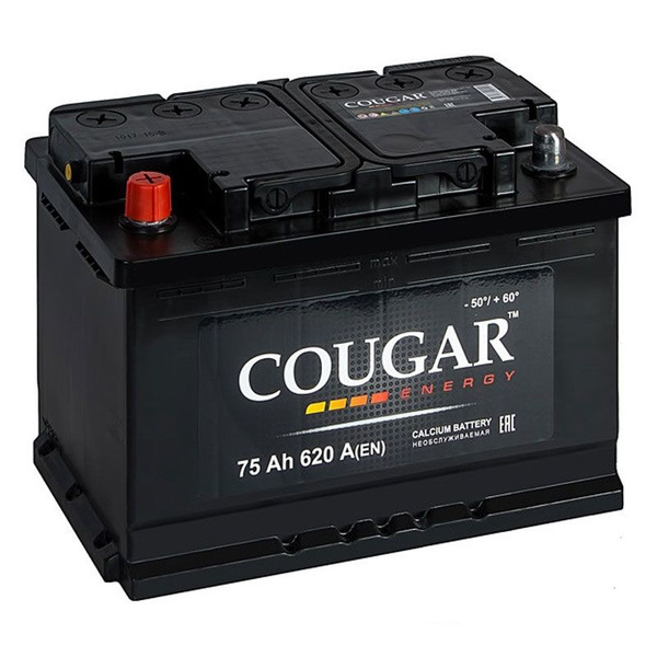 Аккумулятор автомобильный COUGAR ENERGY купить по выгодной цене в ...