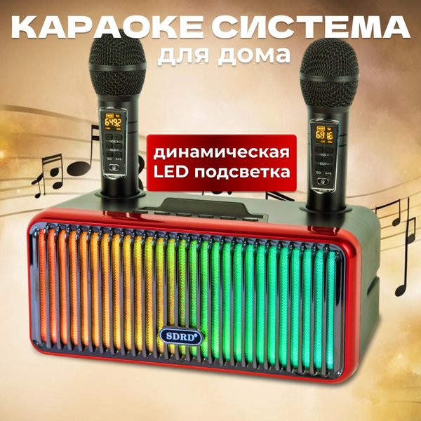 Караоке система для дома SDRD SD-319 Pro черная с двумя микрофонами для ...