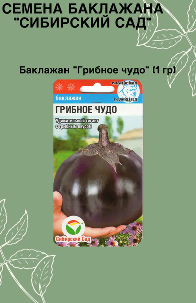 Баклажаны баклажан грибное чудо - купить по выгодным ценам в интернет ...