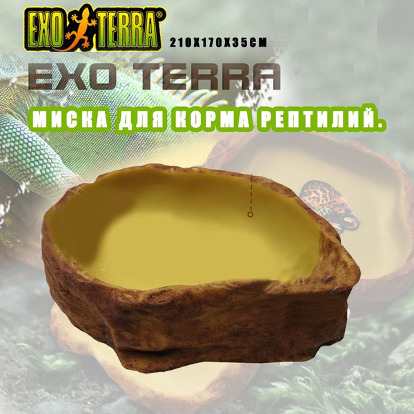 Поилка для взрослых рептилий - Exo-Terra Water Dish Large - купить с ...
