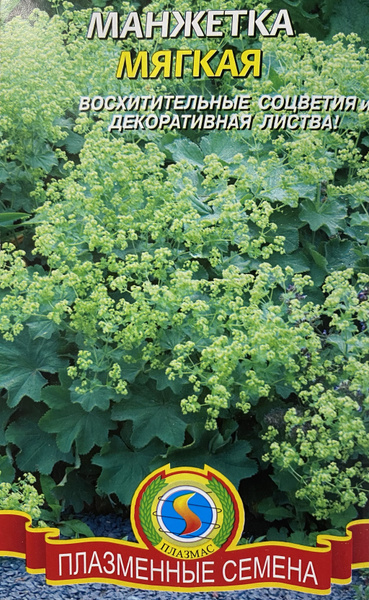 Манжетка Плазменные семена Манжетка Мягкая - купить по выгодным ценам в ...