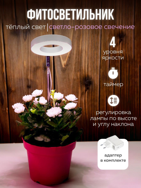 Фитолента - купить с доставкой по выгодным ценам в интернет-магазине ...