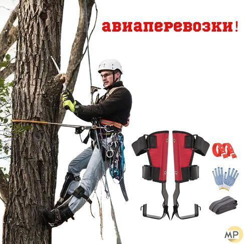 Гвозди для лазания по деревьям, ремни безопасности, гвозди для лазания ...