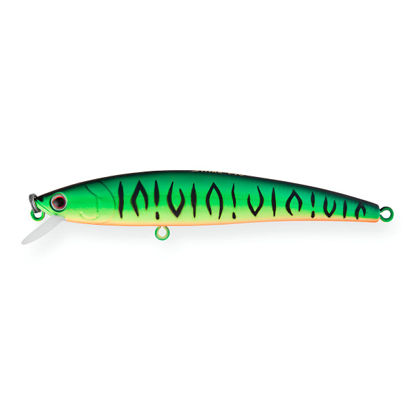 Arc minnow. Arc minnow