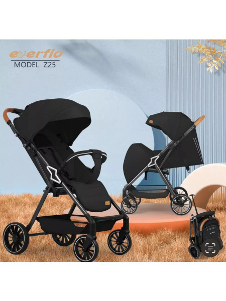 Коляска прогулочная Wingoffly eyerflo Z25 - купить с доставкой по ...