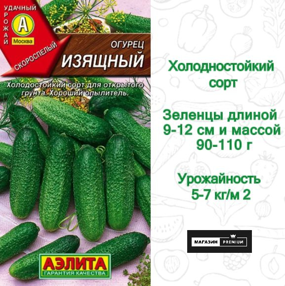 Семена Огурцов Изящный Купить