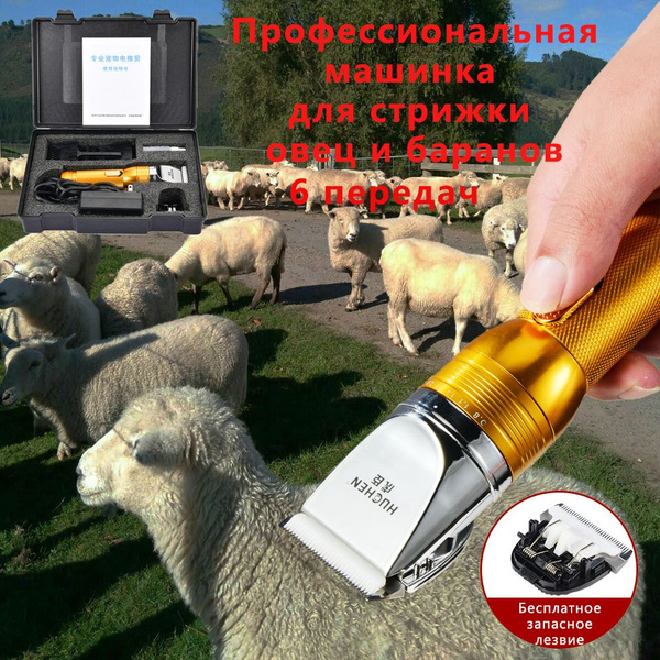 машинка для стрижки овец - купить с доставкой по выгодным ценам в ...