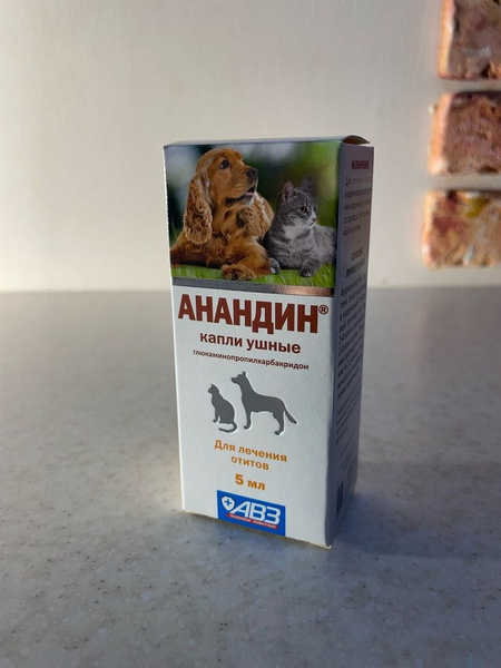 Анандин капли ушные 5 мл - купить с доставкой по выгодным ценам в ...