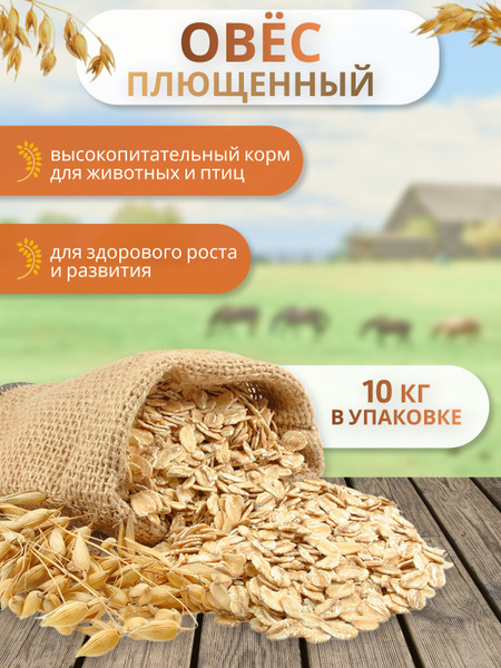 Овес плющеный - купить с доставкой по выгодным ценам в интернет ...