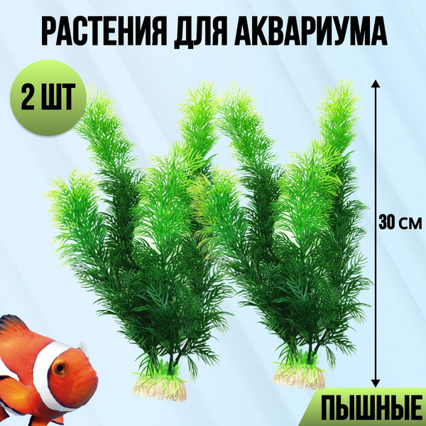 Водоросли для аквариума искусственные - купить с доставкой по выгодным ...