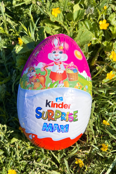 Шоколадное яйцо Kinder Surprise maxi 220гр - купить с доставкой по ...