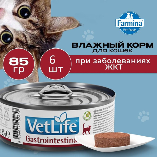 Влажный корм Farmina Vet Life Gastrointestinal для кошек при ...